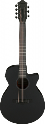 AEG721-BOT i gruppen Gitar / Western Gitar / AEG hos Crafton Musik AB (310118770813)