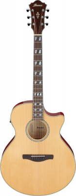 AE170-NTR i gruppen Gitar / Western Gitar / AE hos Crafton Musik AB (310145751414)