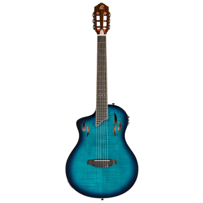 RTPDLX-FMA-L i gruppen Gitar / Klassisk og Spansk Gitar / Ortega / TourPlayer Series hos Crafton Musik AB (332156103349)